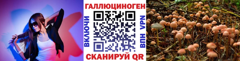 Псилоцибиновые грибы мицелий Называевск